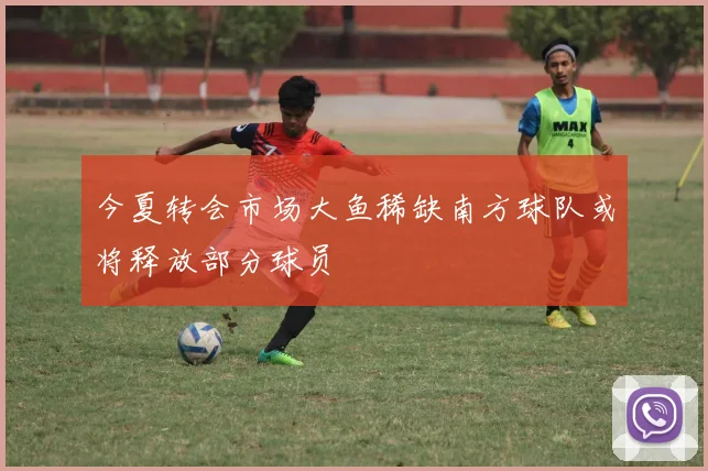 今夏转会市场大鱼稀缺南方球队或将释放部分球员