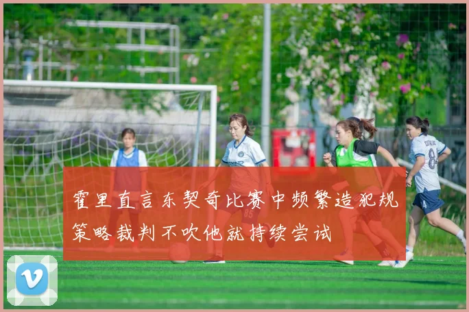 霍里直言东契奇比赛中频繁造犯规策略裁判不吹他就持续尝试